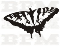 /album/fotogaleria-hmyz/hmyz-5-jpg/